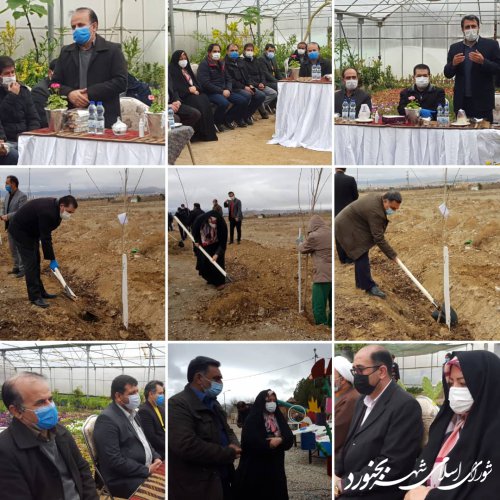 کاشت نهال درخت چنار توسط ریاست و اعضای شورای اسلامی شهر بجنورد در هفته درختکاری
